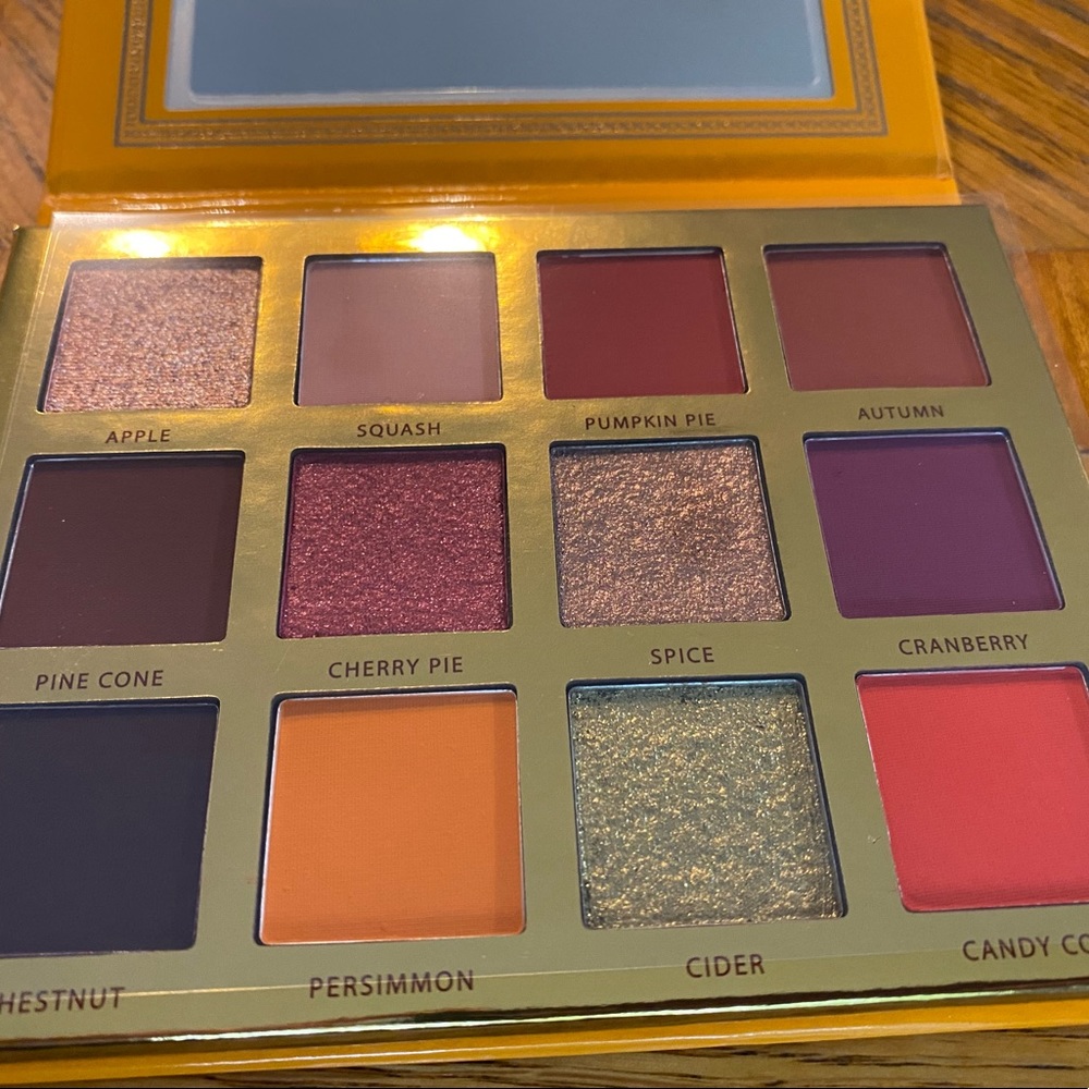 Ace Beaute falling for u palette